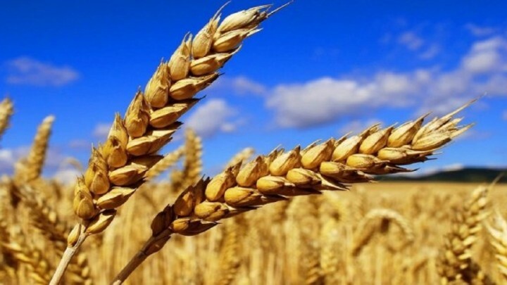 Logo for INVESTIR 22-23