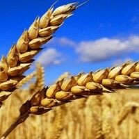 Logo for INVESTIR 22-23