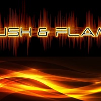 Logo for Brush and Flame