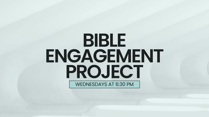 Logo for Bible Engagement Project