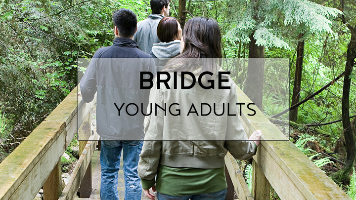 Logo for Bridge Young Adults Group