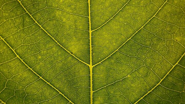 Logo for Men's Fellowship Group