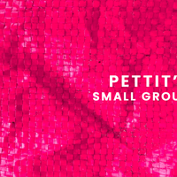 Logo for Petttit's Journey Group