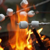 Now that's a FIRE!