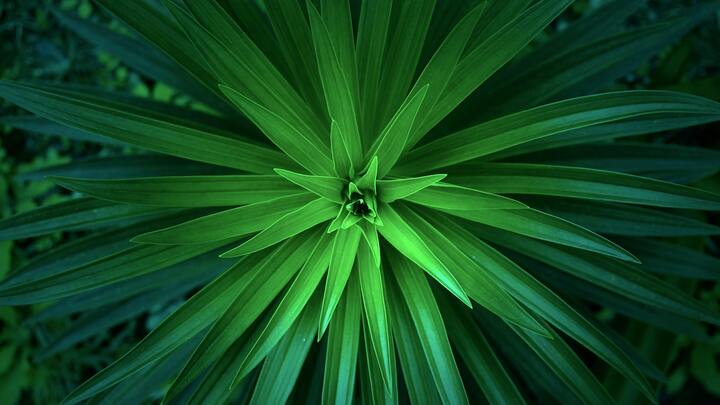 Logo for Willoughby - Adults over 50 (John and Louise Jakos)