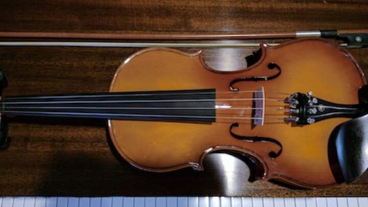 Logo for Instrumentalists