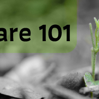 Logo for Care 101
