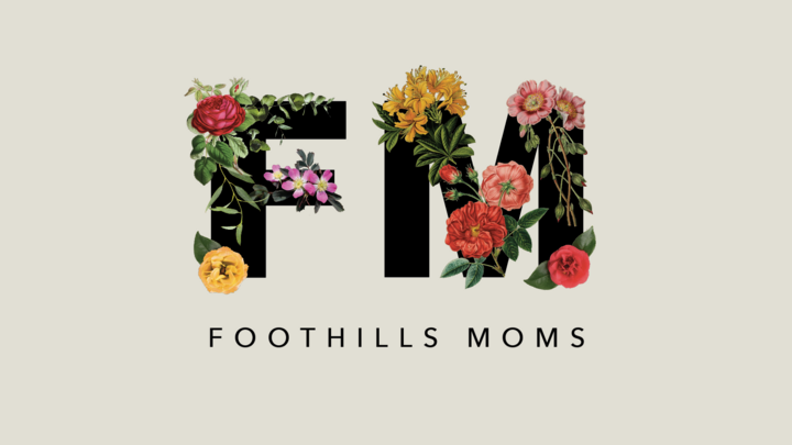 Logo for Foothills Moms
