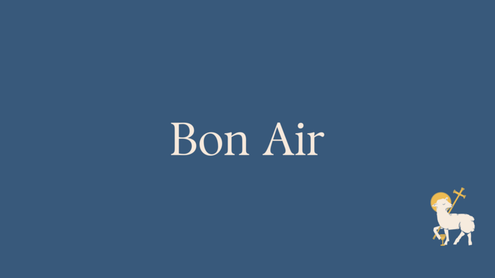 Logo for Bon Air Small Group