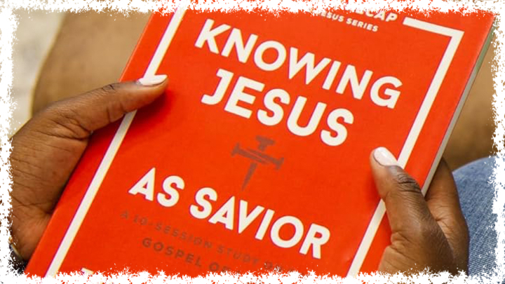 Logo for Women's Study on Luke (Tuesdays)