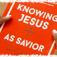 Logo for Women's Study on Luke (Tuesdays)