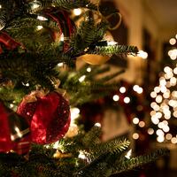 Logo for Christmas Decorating