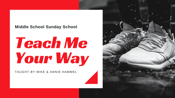 Logo for Teach Me Your Way