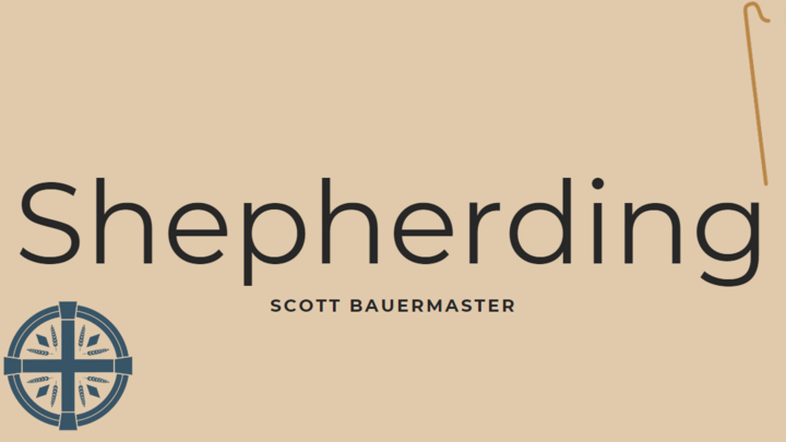 Logo for Shepherding Group - Scott Bauermaster