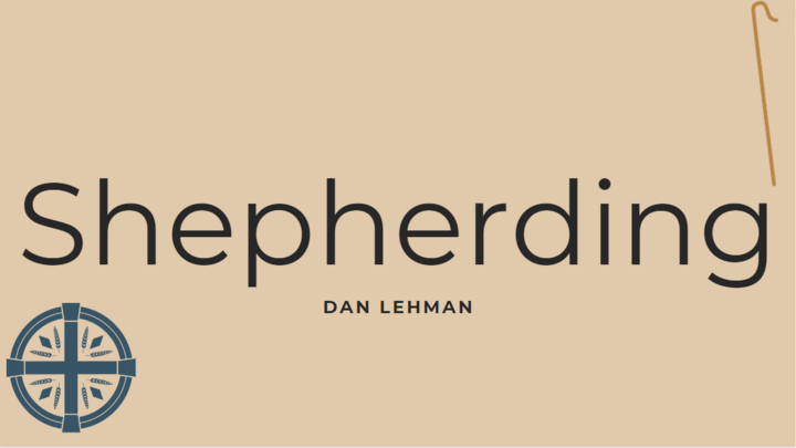 Logo for Shepherding Group - Dan Lehman