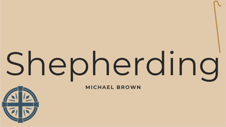 Logo for Shepherding Group - Michael Brown