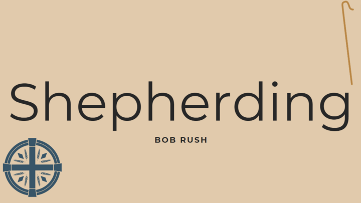 Logo for Shepherding Group - Bob Rush