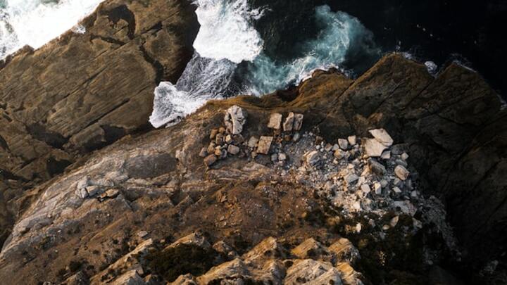 Logo for Shea LifeGroup