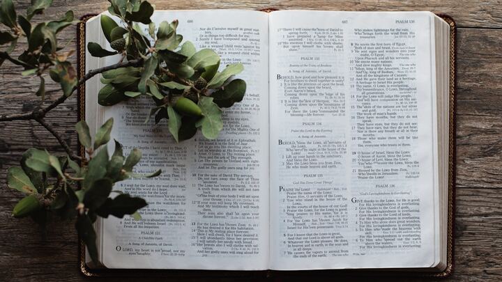 Logo for Women’s Bible Study - Home Group