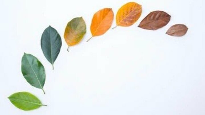 Logo for 卓越2.0 - Christie