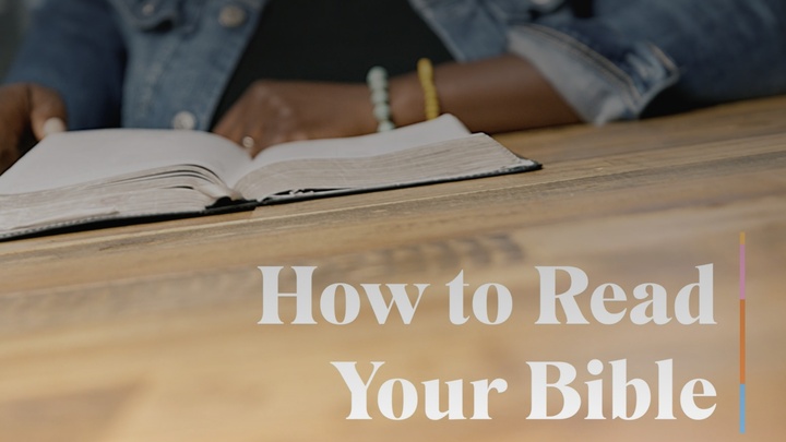 Logo for Niwot | Bible Jumpstart | Amparan