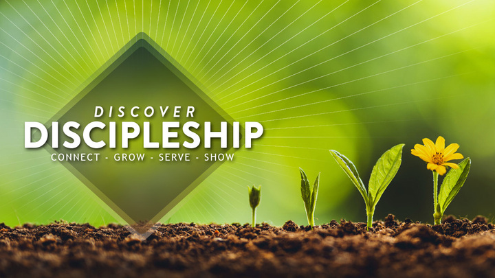 Logo for Discipleship Groups
