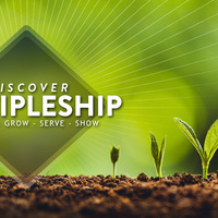 Logo for Discipleship Groups