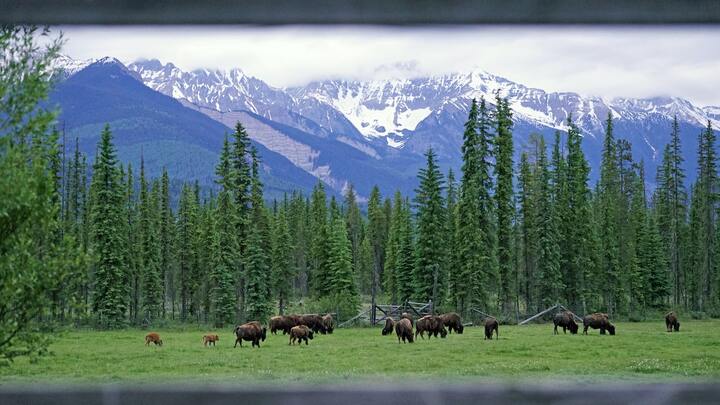 Logo for Montana - Gallatin Gateway (SW of Bozeman)