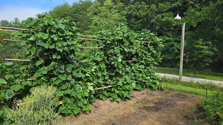 Logo for UU Men's Group