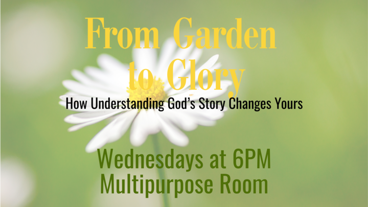 Logo for MDWK Women's Bible Study