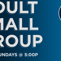 Logo for Adult Small Group | Steve Cole