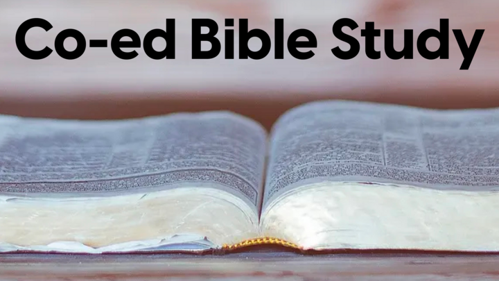 Logo for Adult Co-ed Class