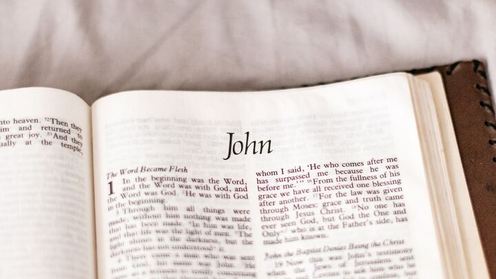 Logo for LifeGroup | John - Precepts | Young Adult Women