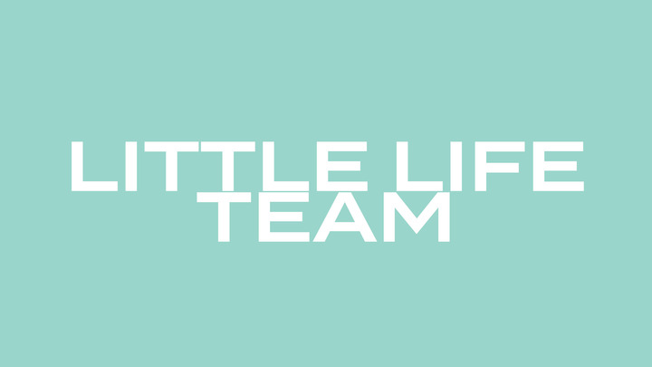 Logo for LITTLE LIFE SERVE TEAM
