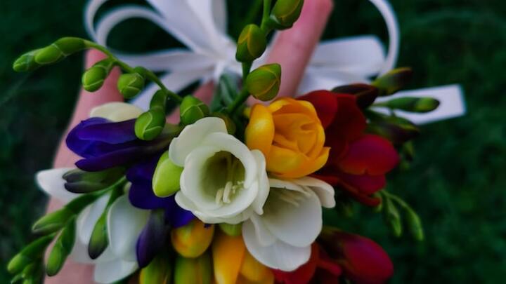 Logo for Decorations Ministry