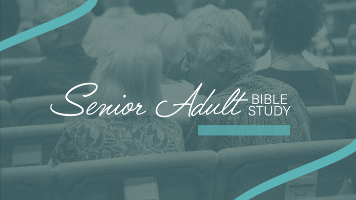 Logo for Pine Lakes 55+ Small Group