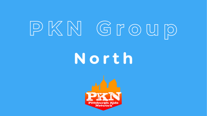 Logo for PKN North Group