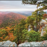 Logo for "Trail Tribe" - Women's Hiking Group