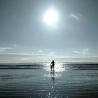 Logo for DG | Parents