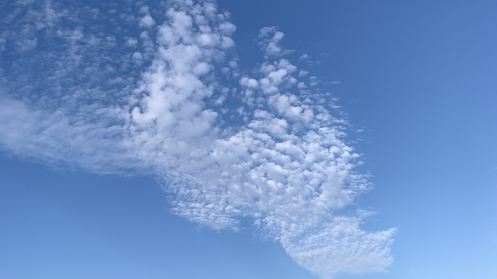 Logo for Groupe SGL Plaine de Versailles