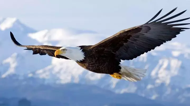 Logo for Groupe du Pecq