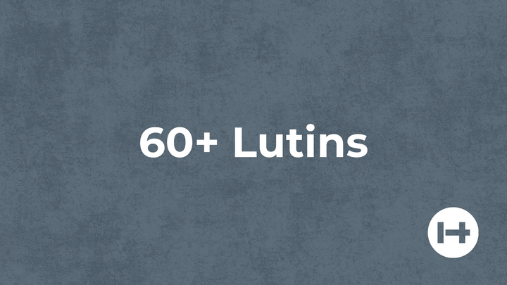 Logo for 60+ Lutins