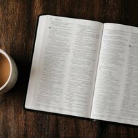 Logo for Sunday Adult Bible Study 10:15 AM Parlor