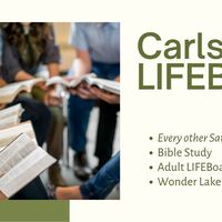 Logo for Carlson LIFEBoat - Proverbs