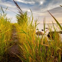 Logo for APP Class: 12–18 Teens