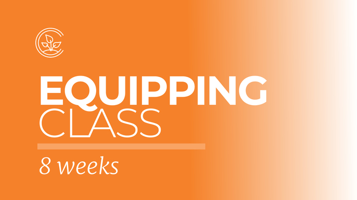 Logo for *Practicing the Way