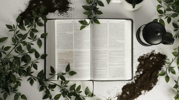 Logo for Wednesday Night Women’s Bible Study