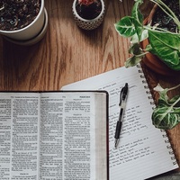 Logo for Community Group - South Beaverton