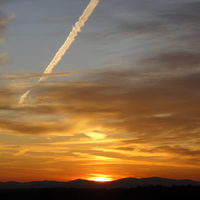 Logo for Clifton Park Tribe