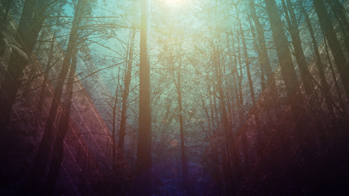 Logo for Campus Development Team